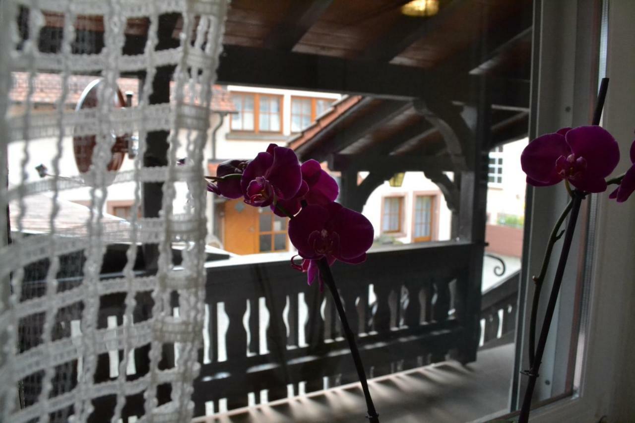Pension - Gaestehaus Zum Pfaelzerwald Hinterweidenthal ภายนอก รูปภาพ